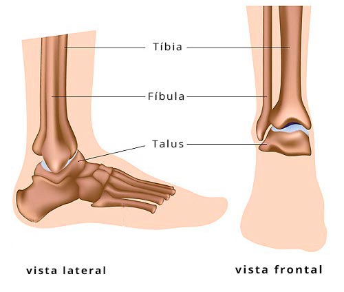 Os 3 ossos do tornozelo